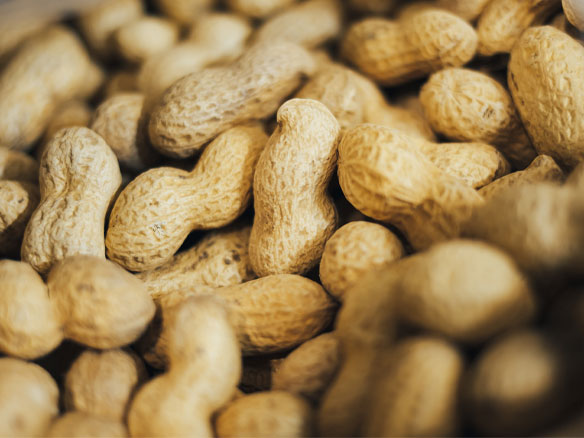 peanuts