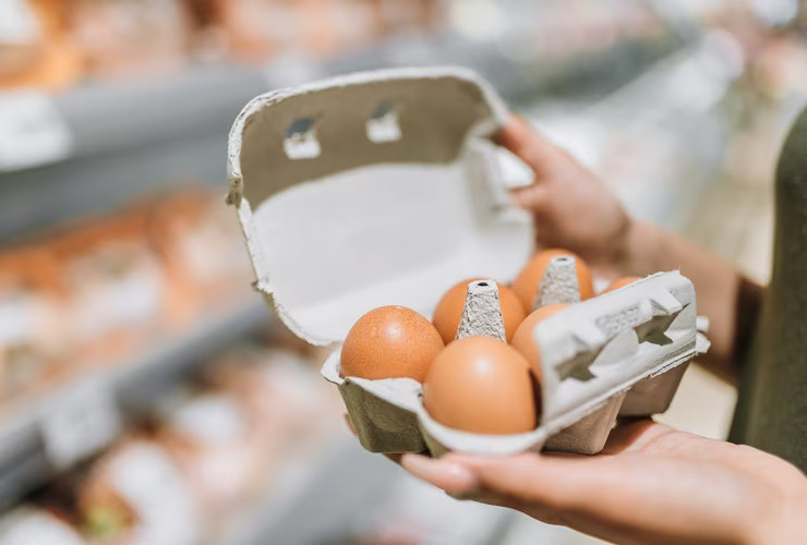 Product Recall Monitor January to June 2019