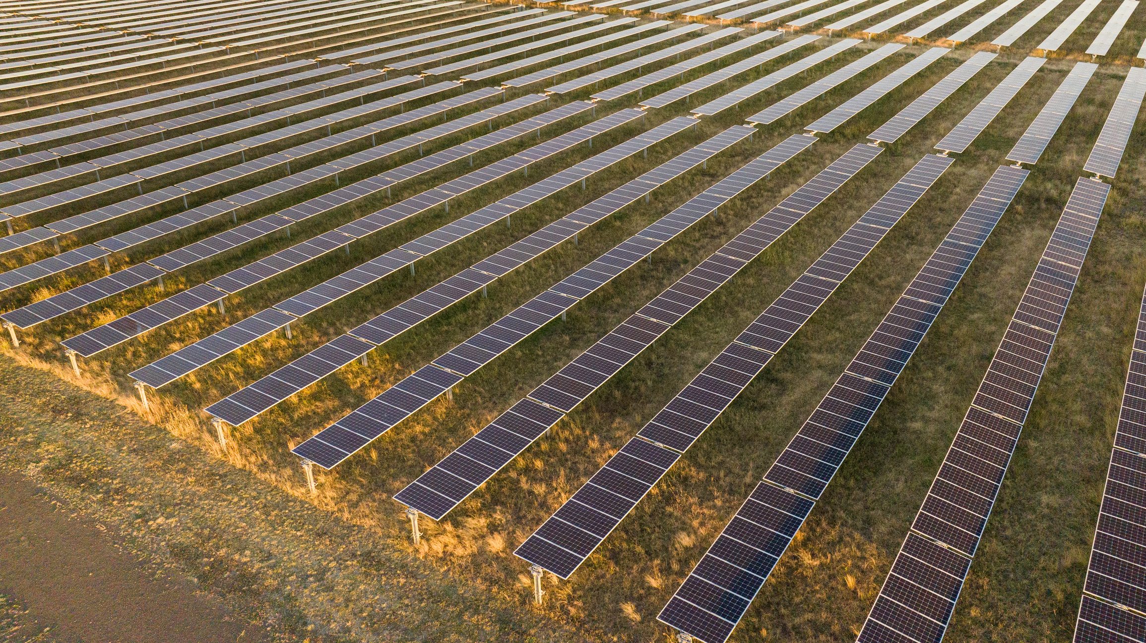 A team you can count on