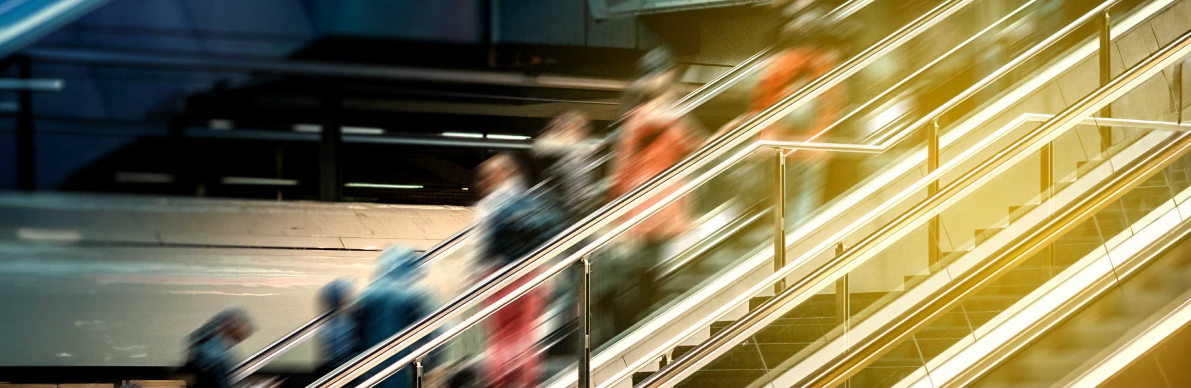 Two strengths, one Liberty.